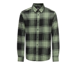 Kleur groen