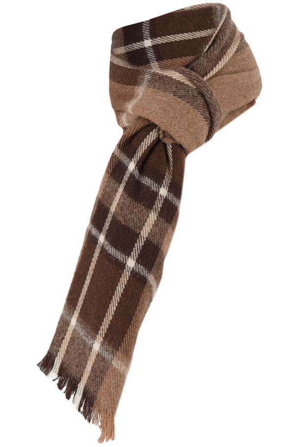 000431-50003 Bruin