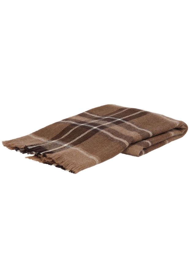 000431-50003 Bruin