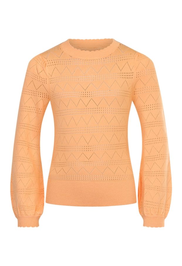 Z70080/Malinka PERZIK