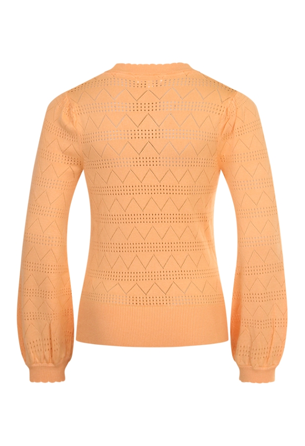 Z70080/Malinka PERZIK