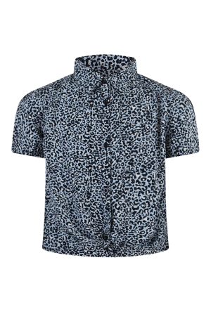 D-zine Z70231/Lily panter PASTEL BLUE  angel falls