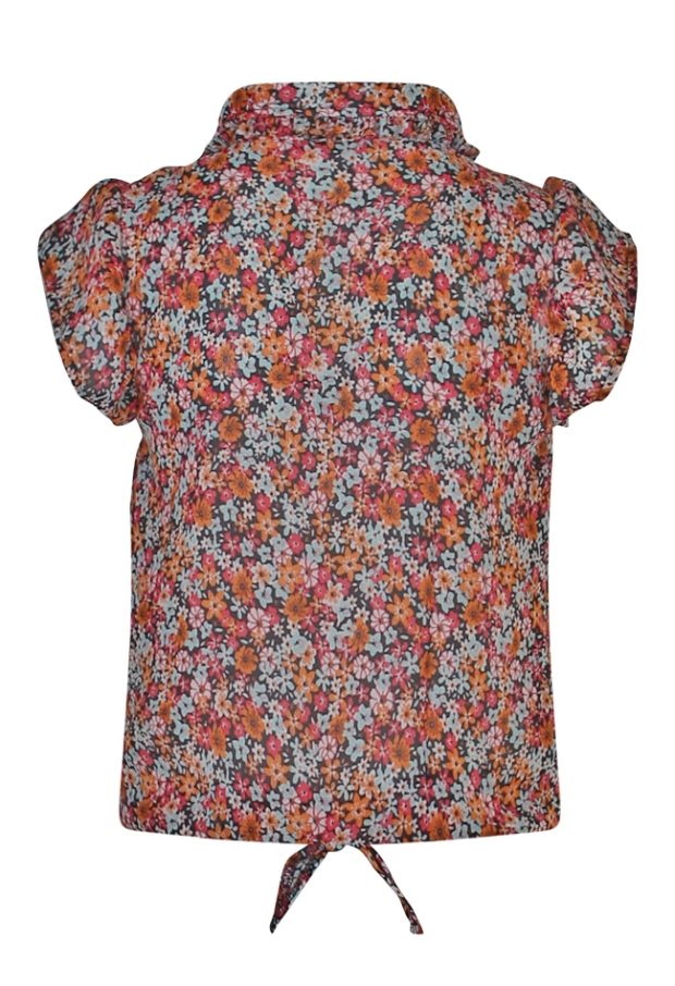 Z70012/2610500 koraal 