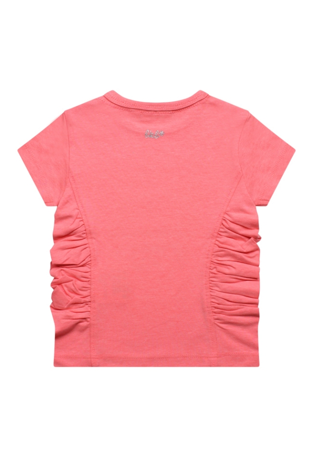 Z70146/2615608 FEL KORAAL 