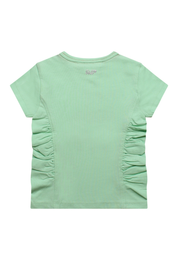 Z70146/2615608 LICHT GROEN 