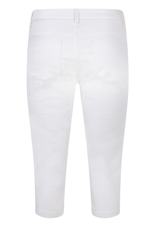 Z70419 /CX20077R2 wit 