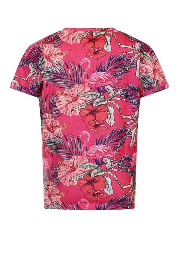 Z70511/SS23G-TE024 FEL ROSE 