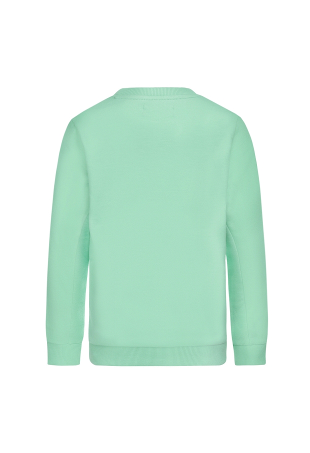 T46761-45 mint groen 