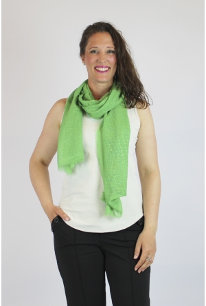 Private label SCF014782 groen  gucci green