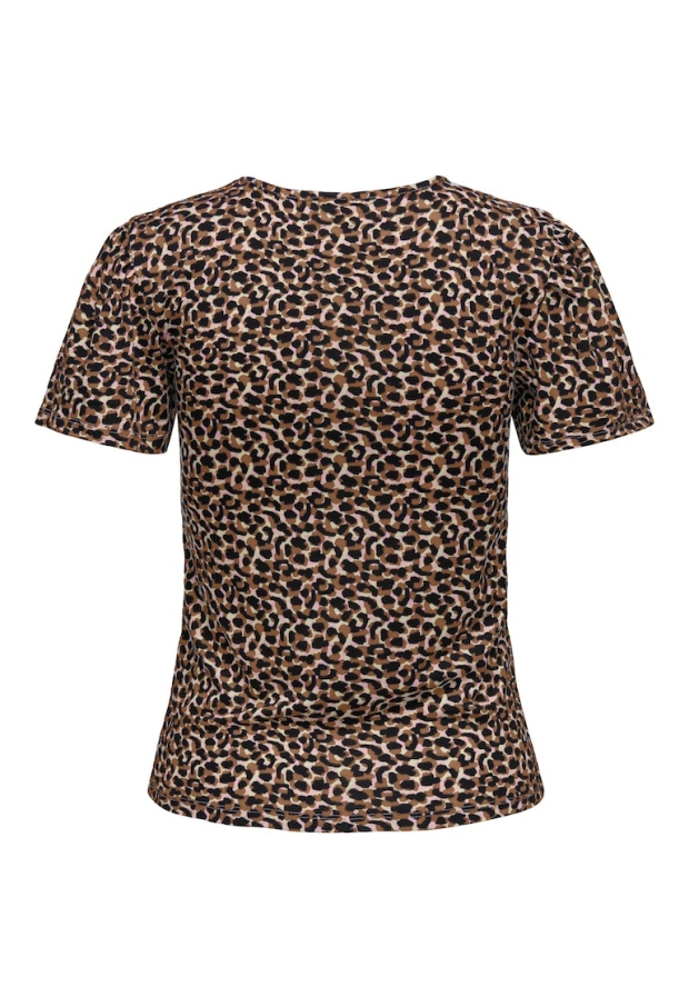 15295607 Toasted Coconut/CHOCOLATE TORTE HOU 