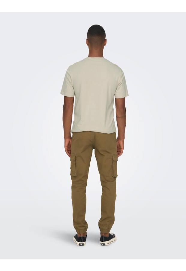 22016687 Teak