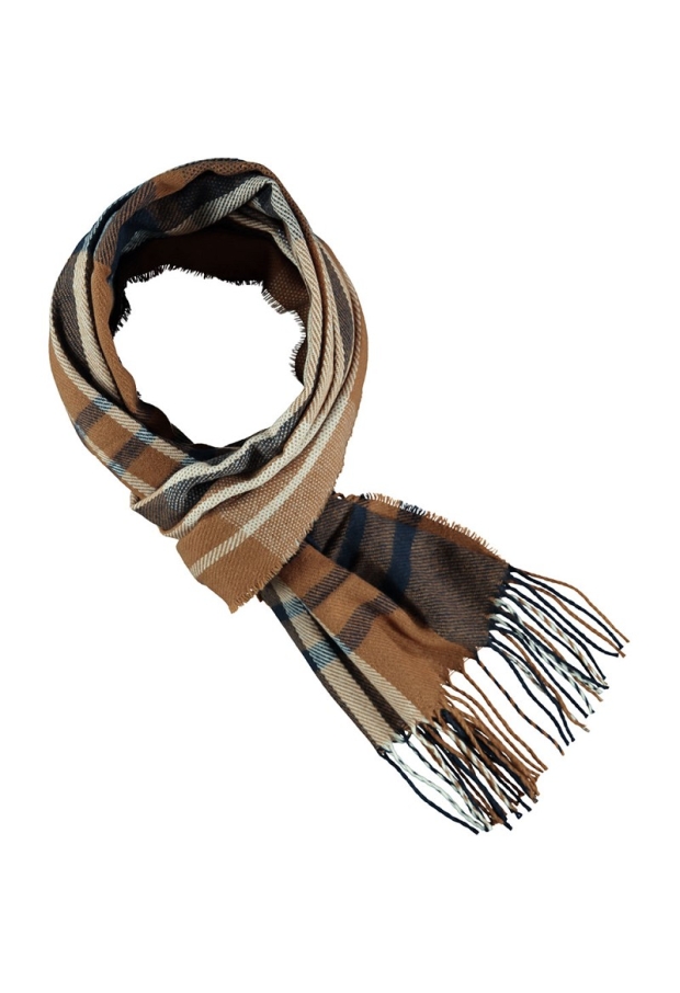 000431-50011 camel