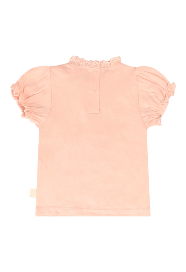 Z80303/2816613 LICHT ROSE 