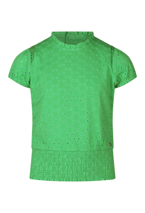 Z80007/2810600 APPEL GROEN 