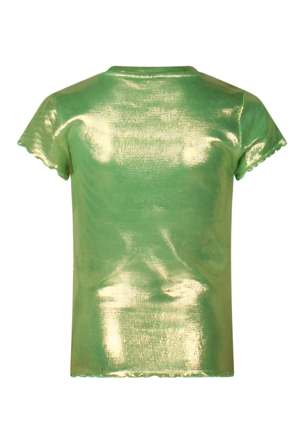 Z80071/2810610 APPEL GROEN 