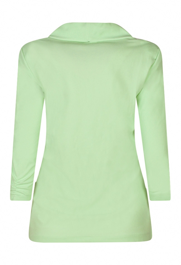 Z80424/403689A Pastel Groen 