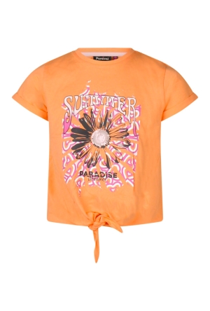 Persival Z80254/Danielle PERZIK  cantaloupe