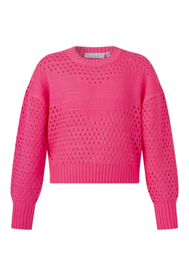 Z80052/Phillis FEL ROSE 