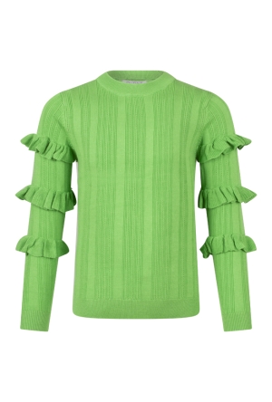 D-zine Z80080/Pelleke groen  parot green