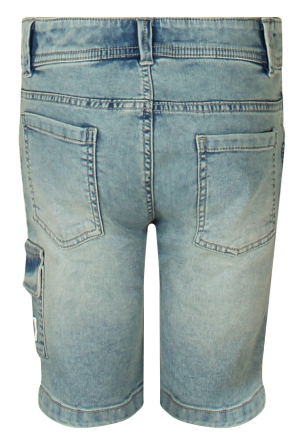 Z80279/Ant Bleached dnm 