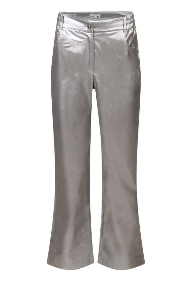 Z80173/Ploonie lds zilver 