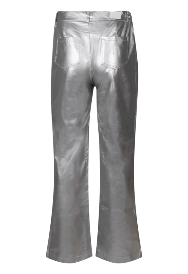 Z80173/Ploonie lds zilver 