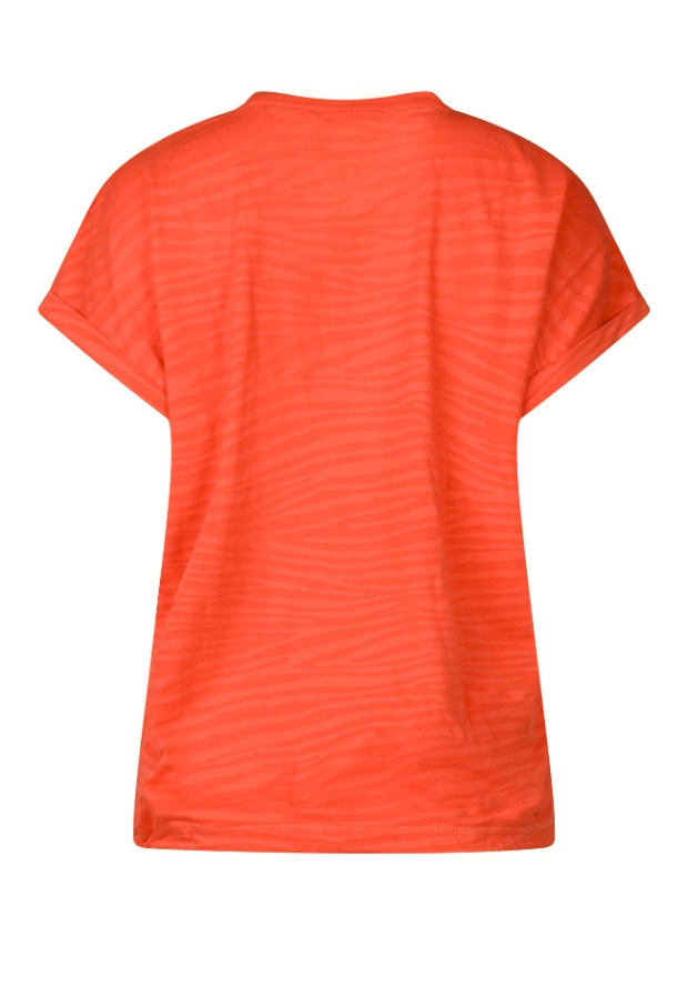 Z80670/Frederica koraal 