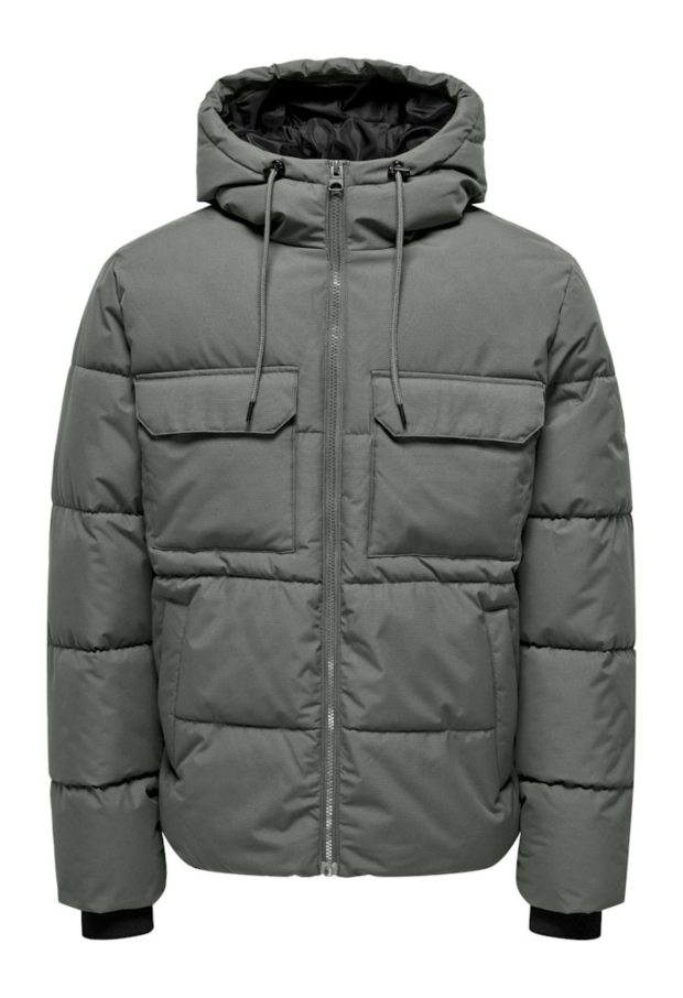 22029661 Castor Gray