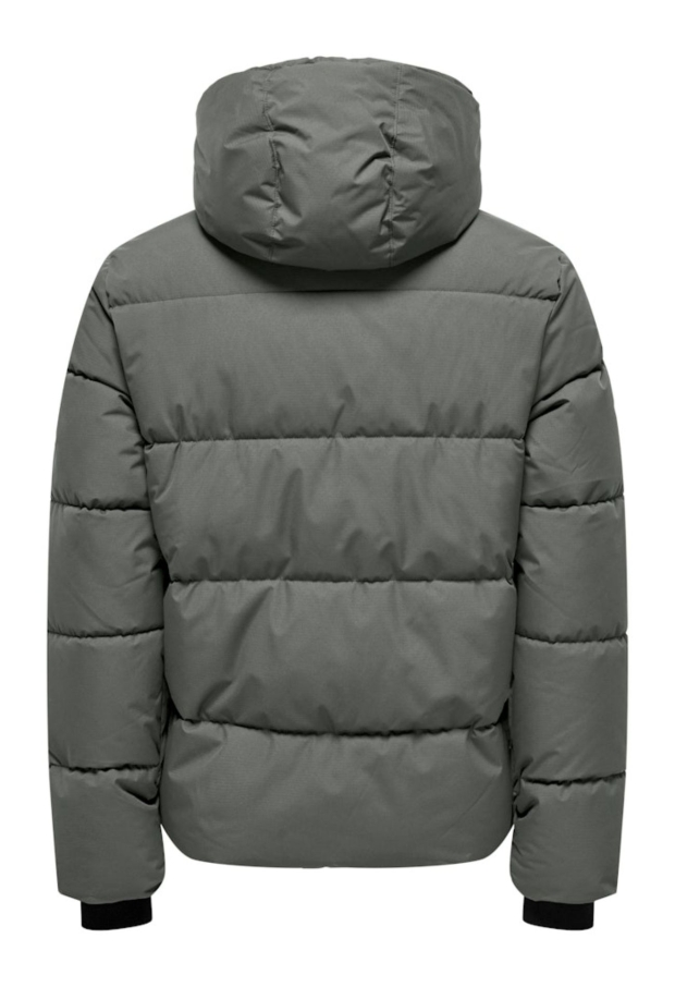 22029661 Castor Gray