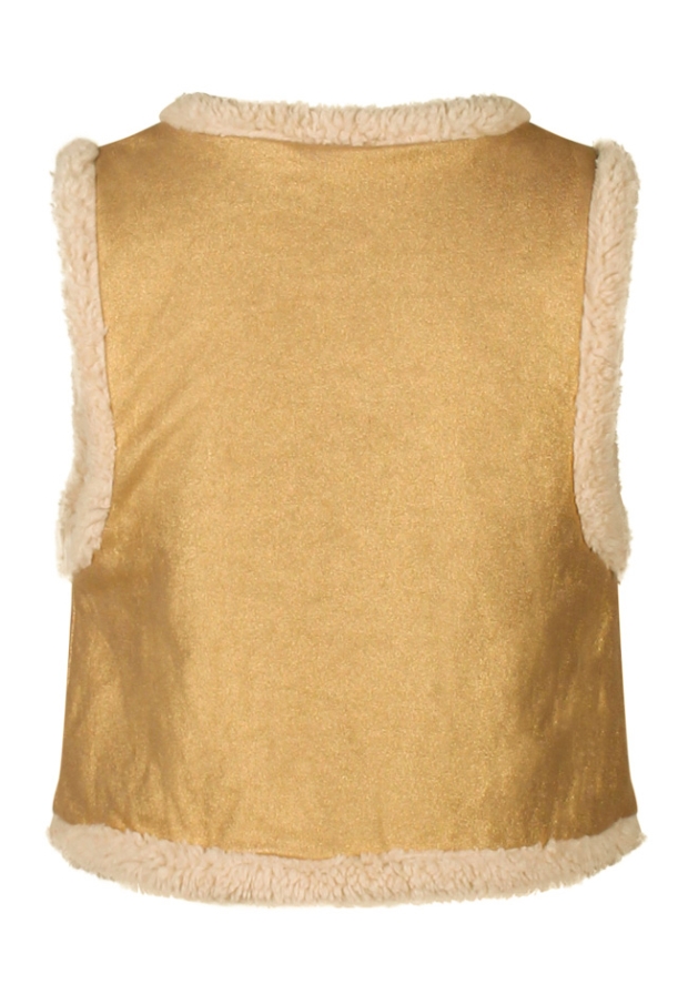 W90047/2910500 GOUD