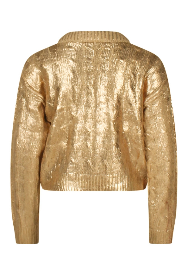 W90128/2910300 GOUD