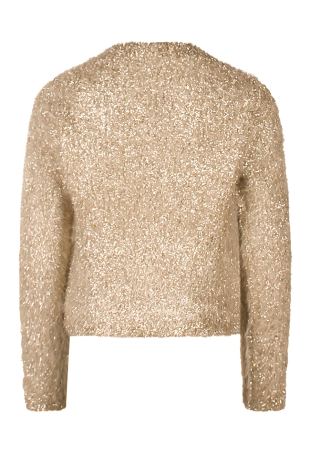 W90425/BC05084 GOUD
