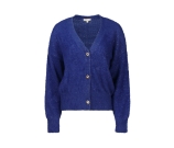 Kleur blauw