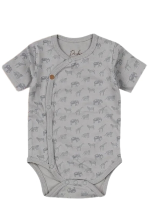 Dirkje WN1262 RAF  raf blauw