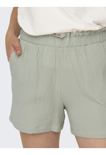 JDY 15259755 Desert Sage  241776