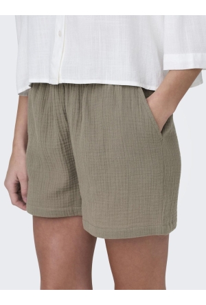 JDY 15259755 Brindle  186700