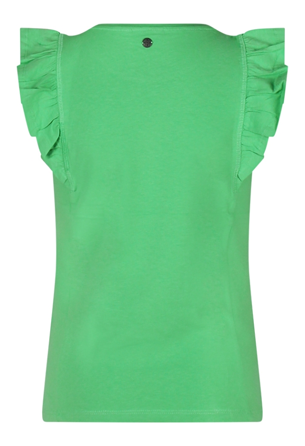 Z90080/3010617 APPEL GROEN 