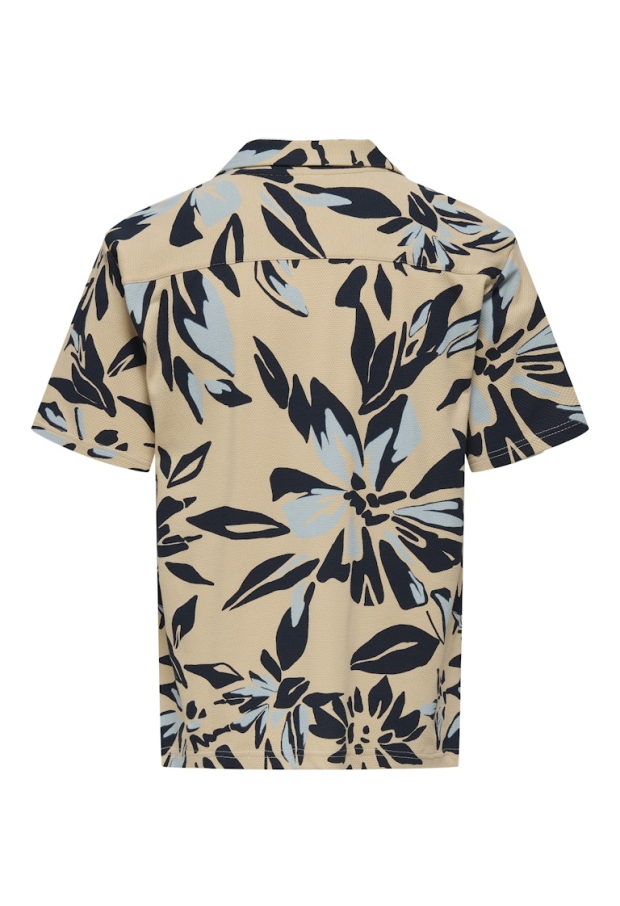 22034082 Dried Sage/CLOUD DANCER/IRISH CREAM 