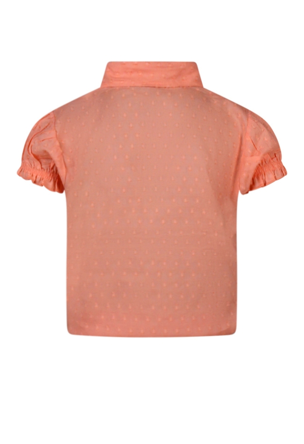 Z90092/3010504 FEL KORAAL 