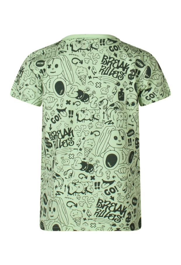 Z90316/3017605 LICHT GROEN 