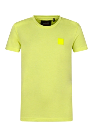 Ravagio Z90301/Sawel lime  lime