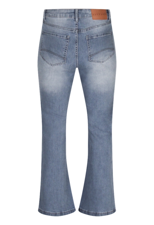 Z90505/CX20121R5 Bleached dnm 