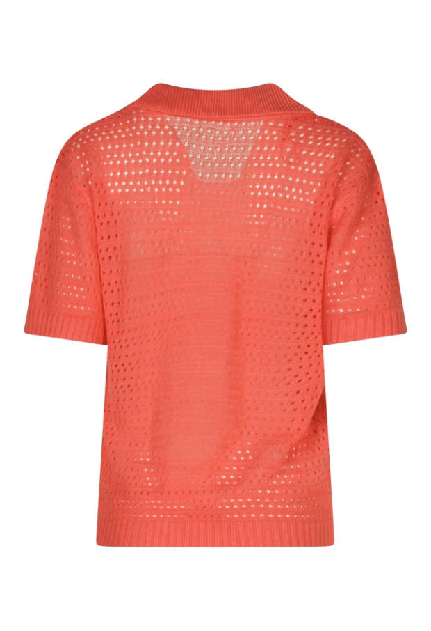 Z90517/LW00738 koraal 