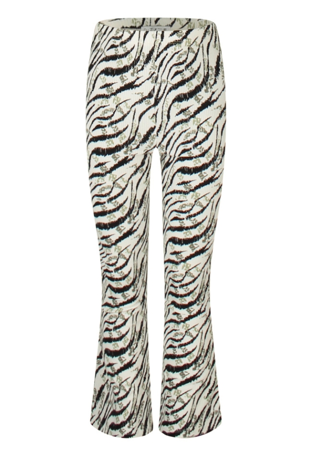 Z90134/Sitta aop MOS 