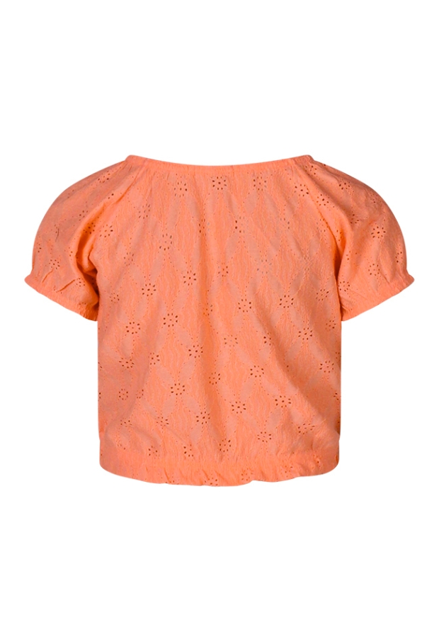 Z90420/GT-83381 FEL KORAAL 