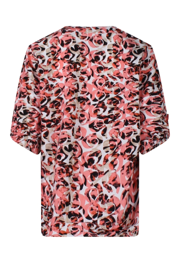 Z90604/Gonja abrikoos 