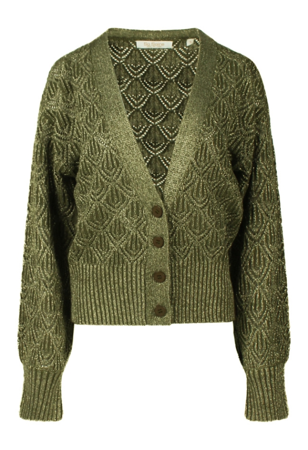 Z90610/Sonny Khaki- 1 