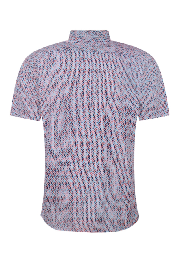 Z90617/Steef OUD ROSE 