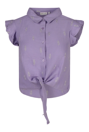 Citylife Z90475/103381 DONKER LILA  sunlit allium