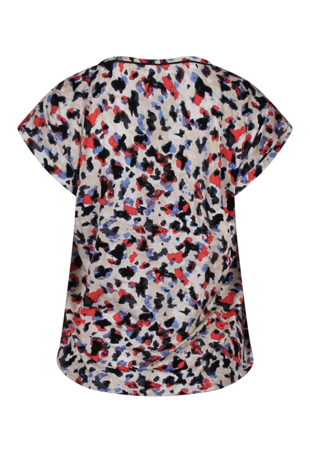 Z90647/213831 koraal 